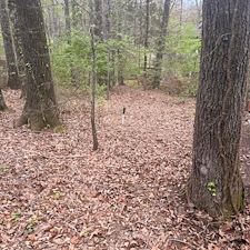 Leaf-Cleanup-and-Removal-in-Oxford-MS 4